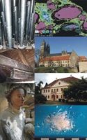 Kacheln mit verschiedenen Denkmalen aus Sachsen und Sachsen-Anhalt (Fotos: IDK)